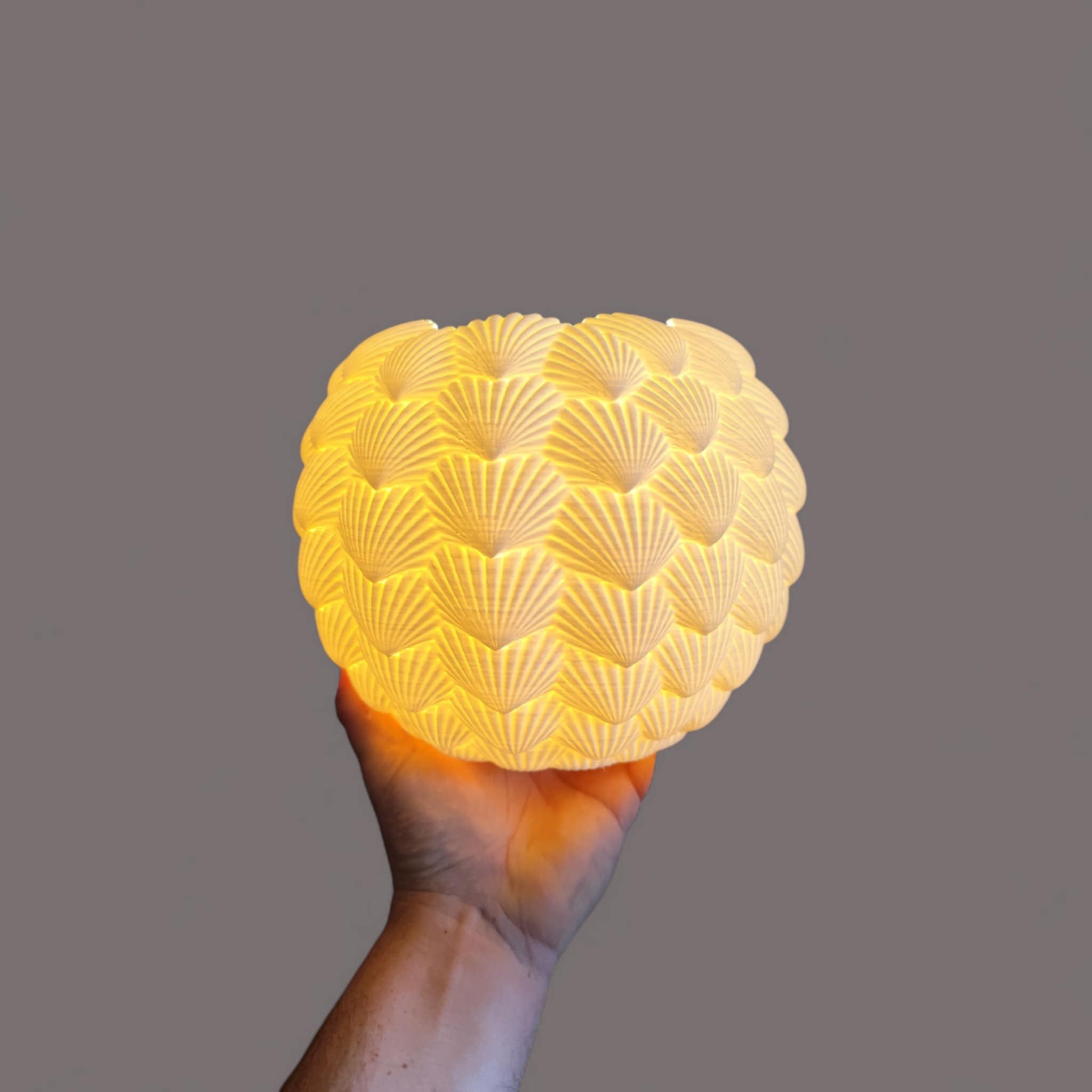 Sinister Select Shell Lamp – Hand-Printed in Perth | Modern cordless LED Table Lamp