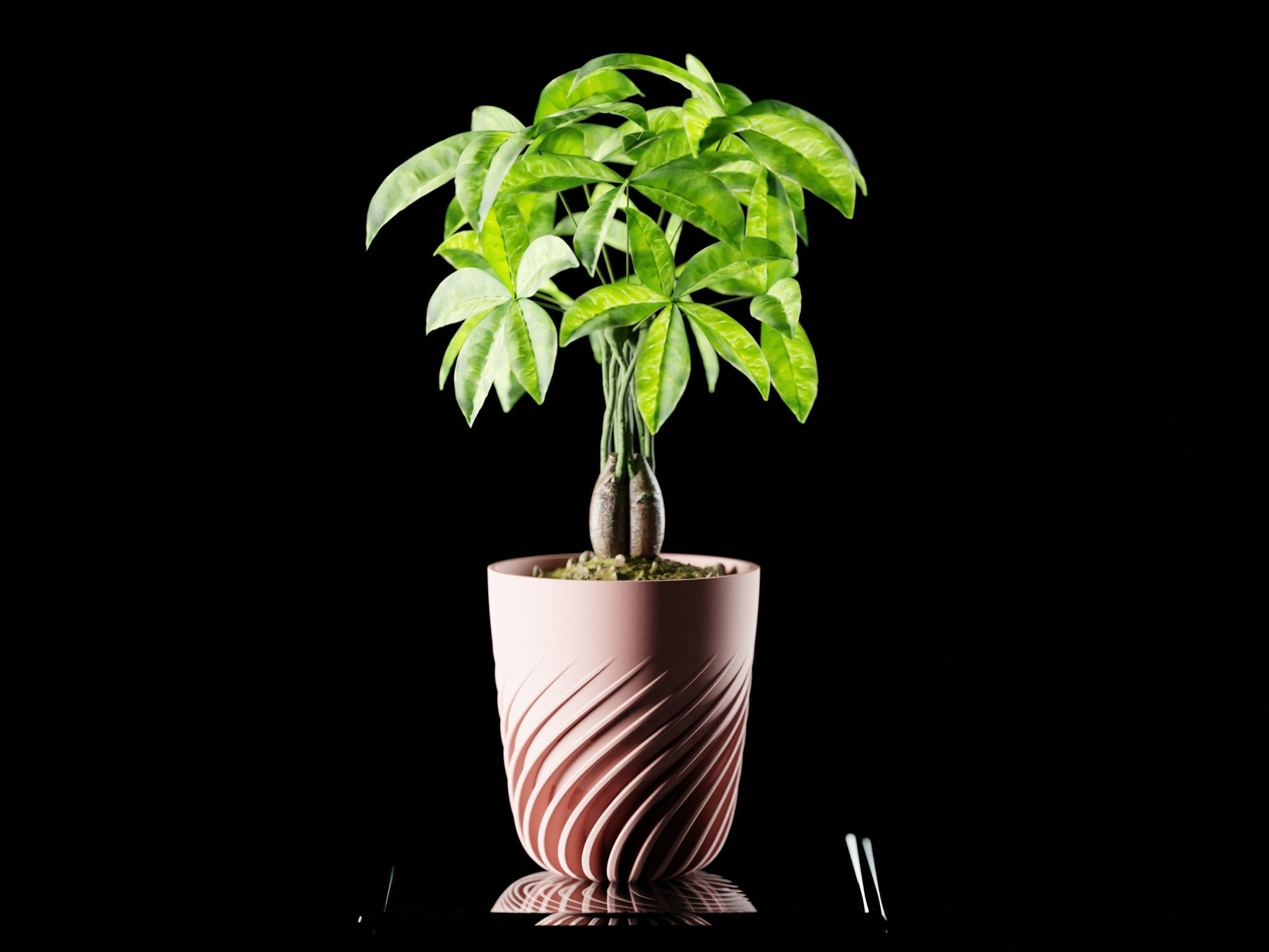 Ventra Planter Pot – Unique, Biodegradable, and Perfect