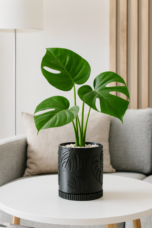 Sinister Select Monstera Leaf Pattern Planter Plant Pot inc tray