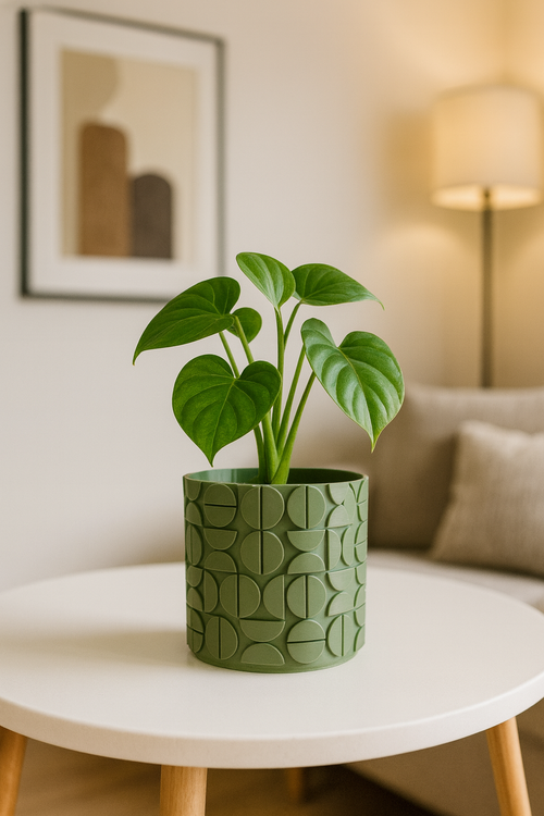 Sinister Select Half Circles Planter Pot inc tray