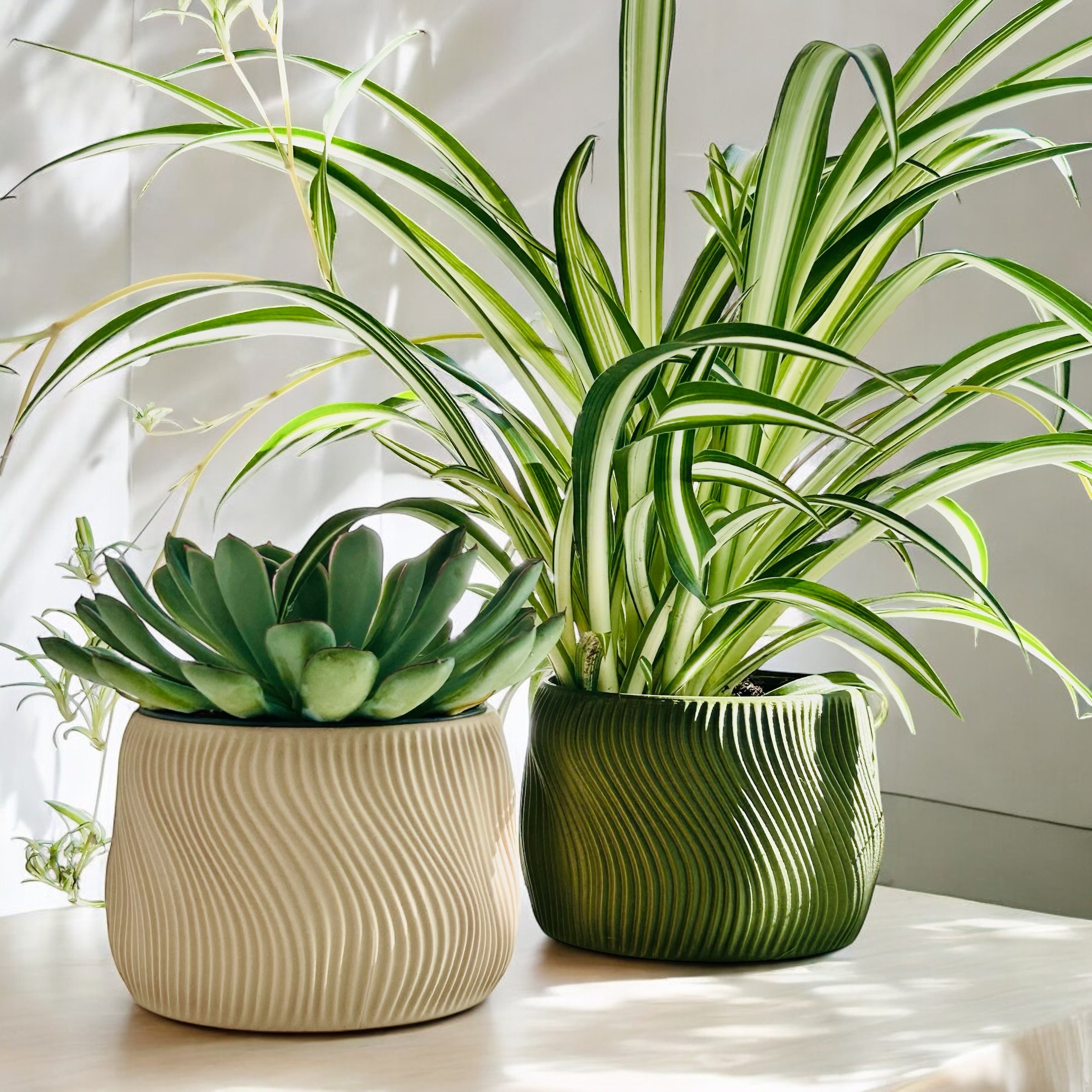DOLCE planter pot