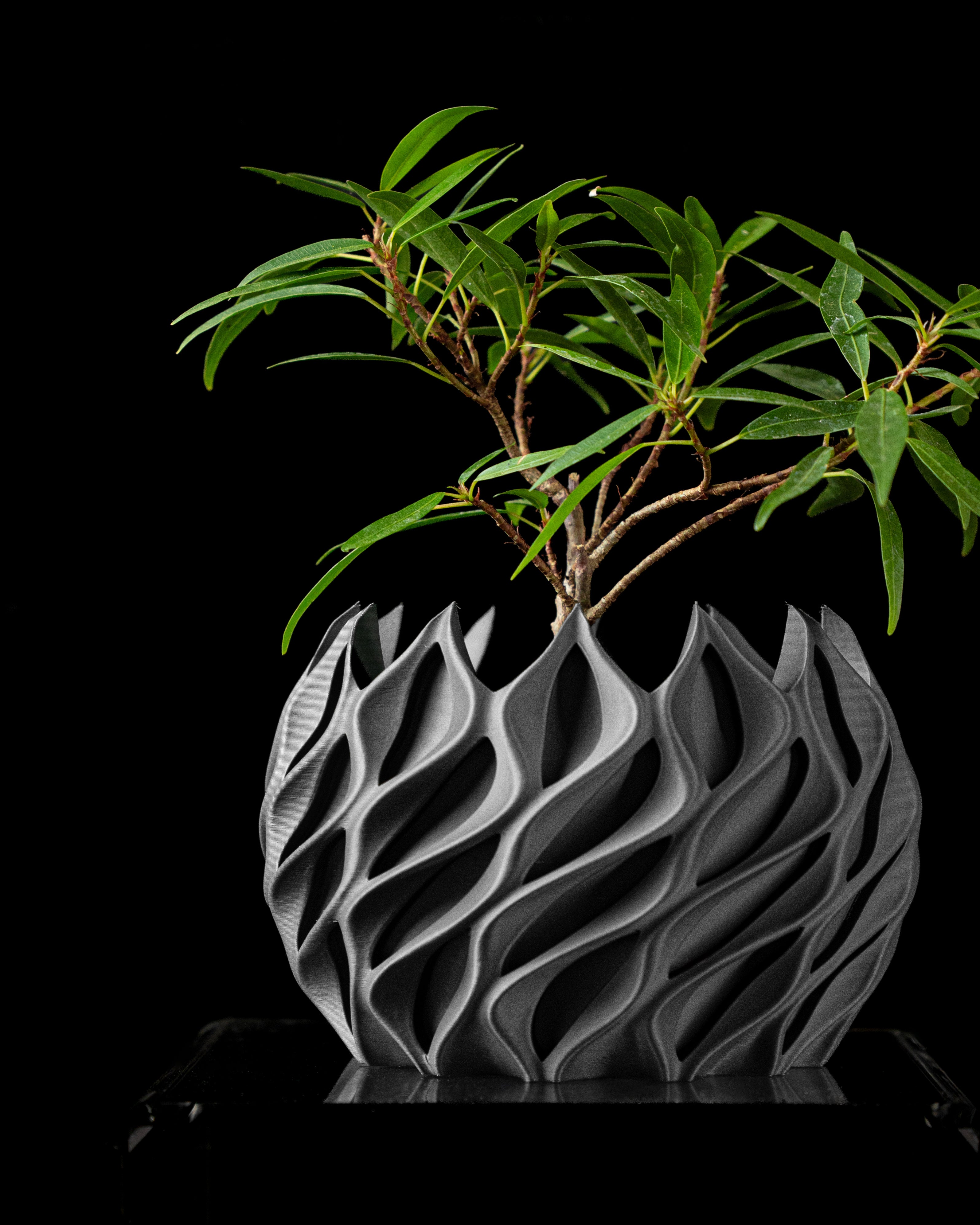 Twisted Sculptural Planter – Modern 3D-Printed Design include tray