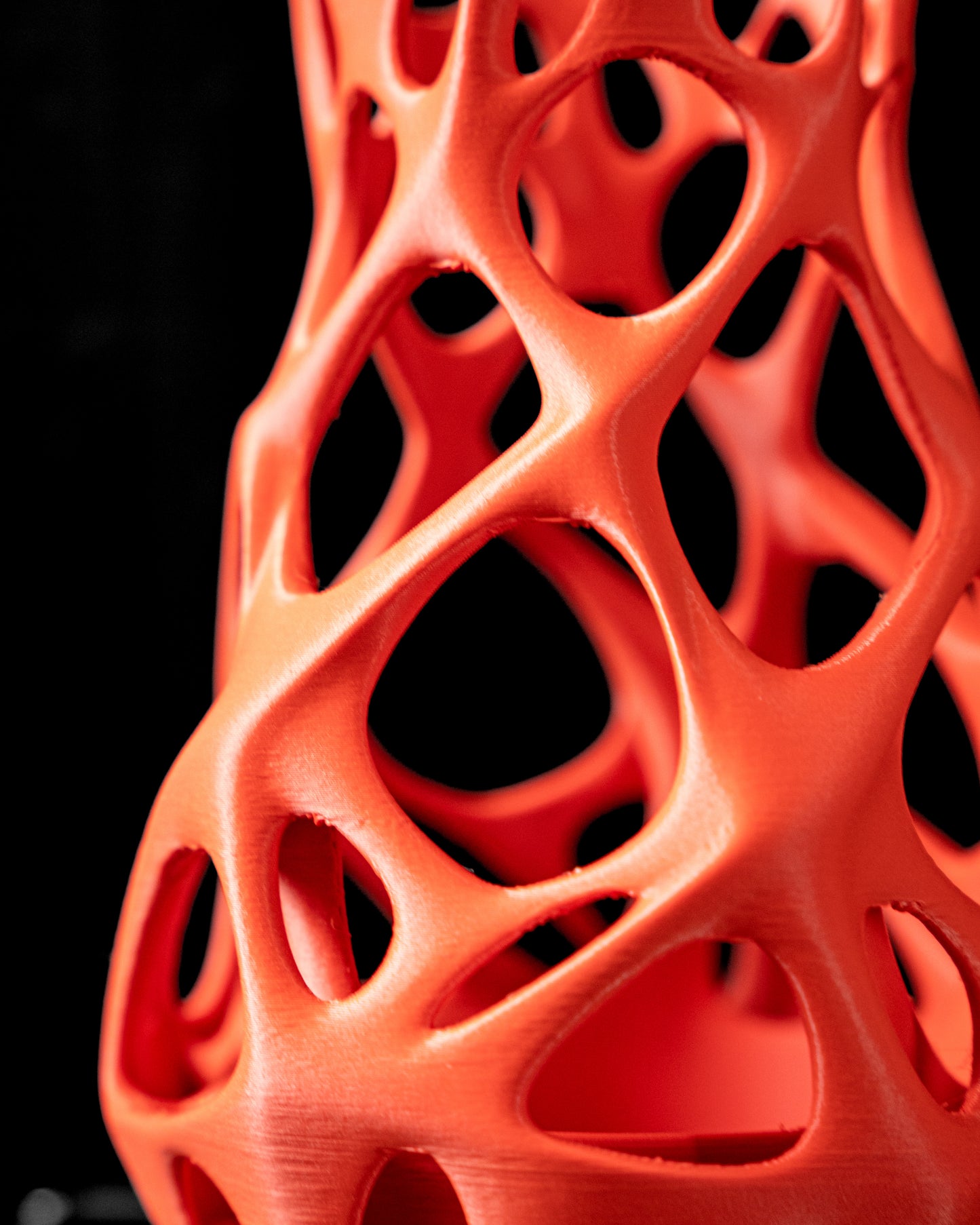 Prime Flower Vase