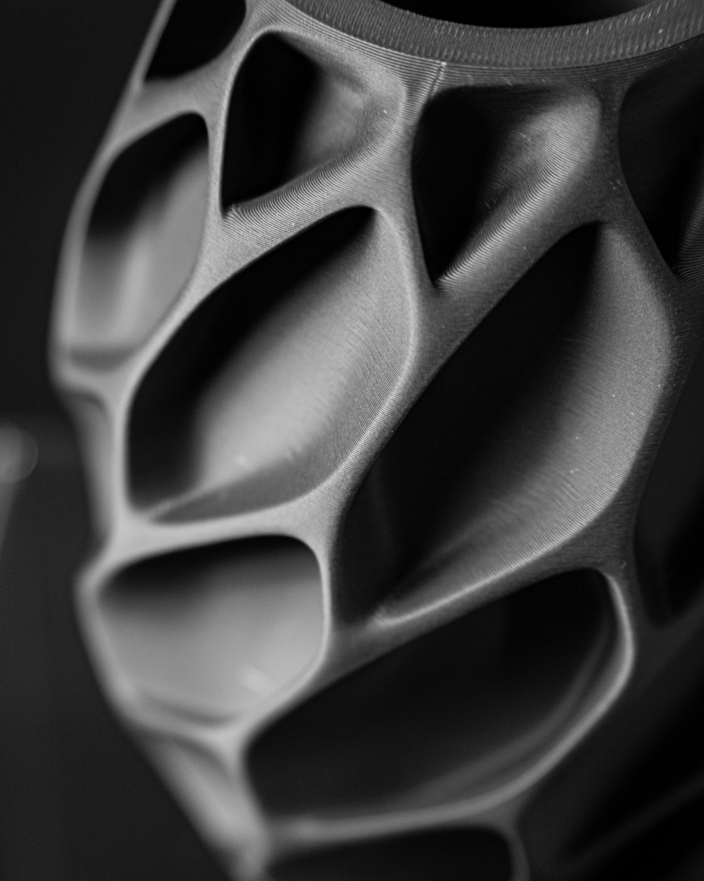 Exo Vase