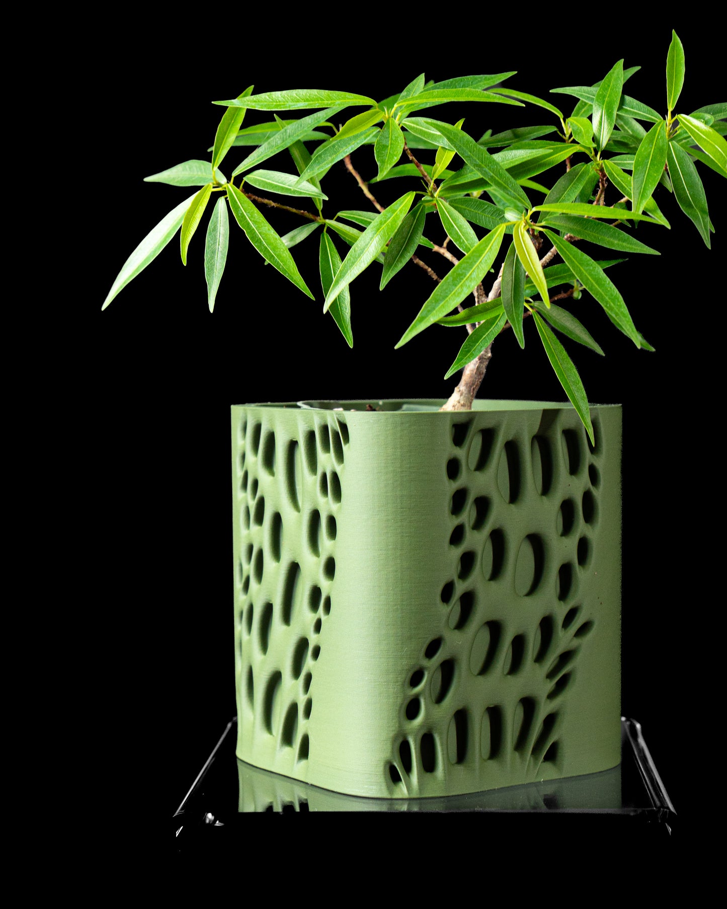 Vapor Plant Pot – Where Form Meets Flow