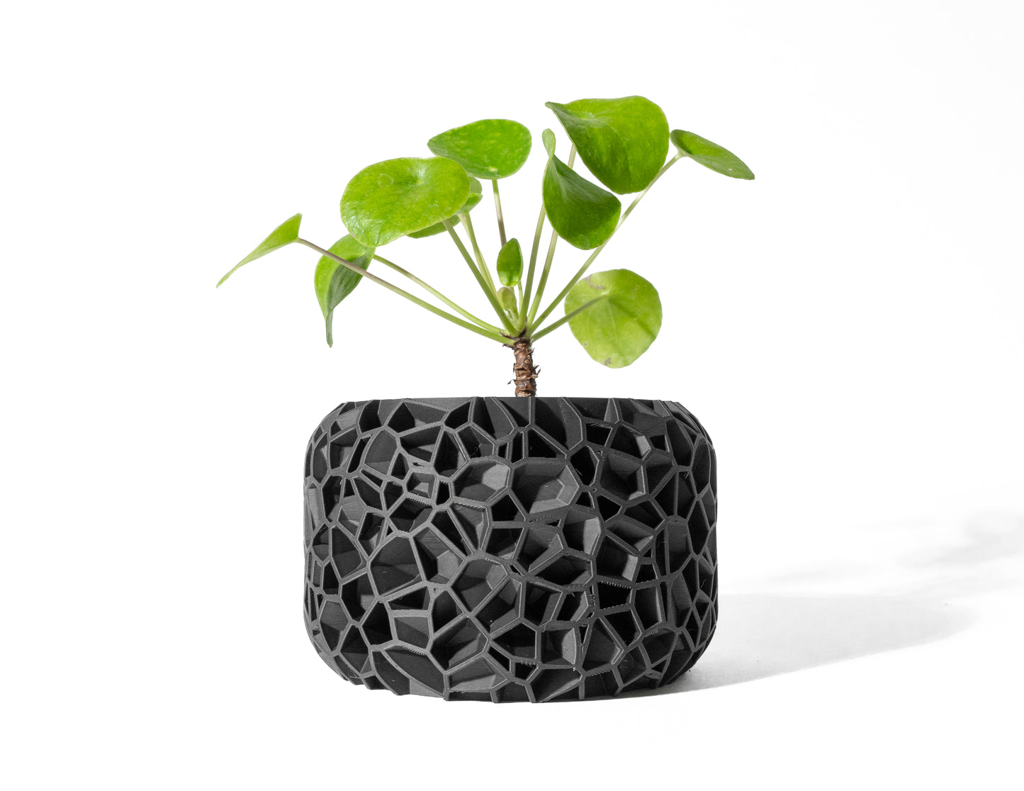 Vori Planter – Modern Minimalism with Subtle Texture