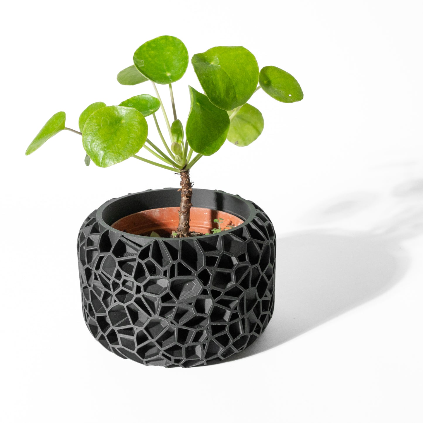 Vori Planter – Modern Minimalism with Subtle Texture