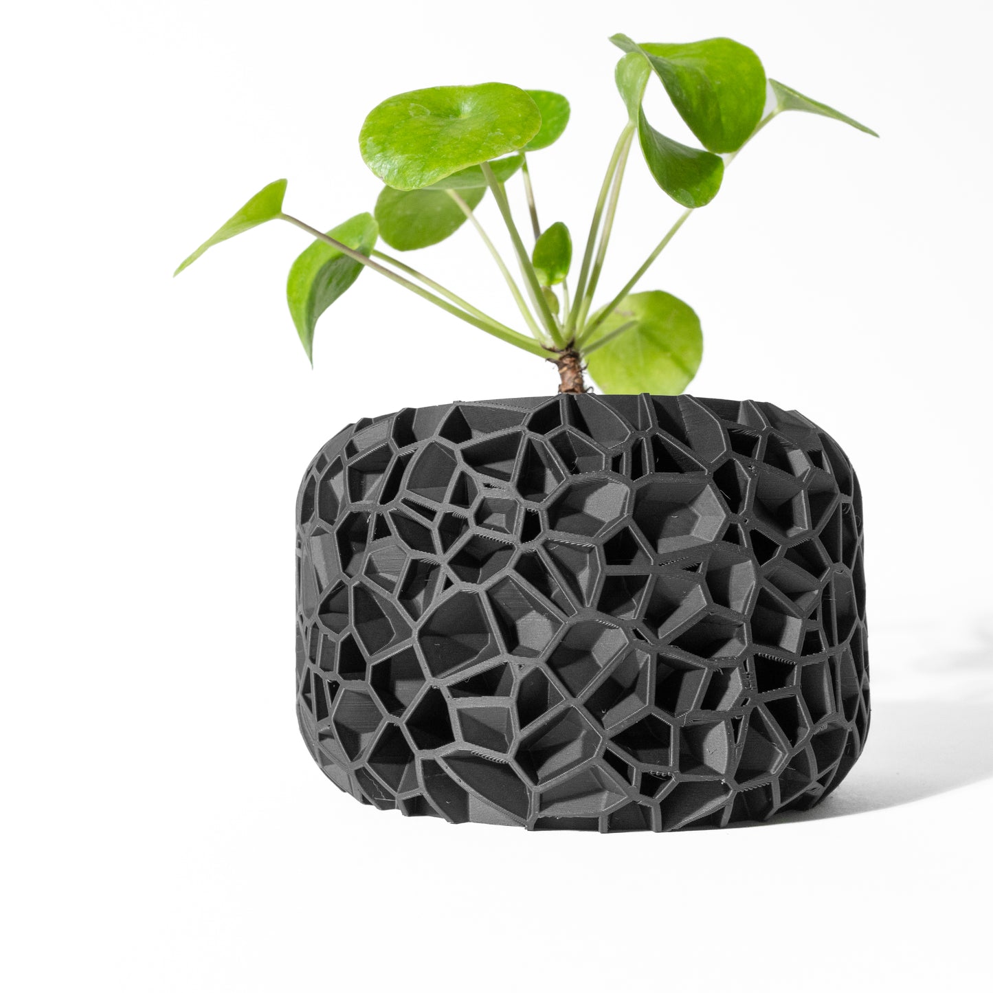 Vori Planter – Modern Minimalism with Subtle Texture