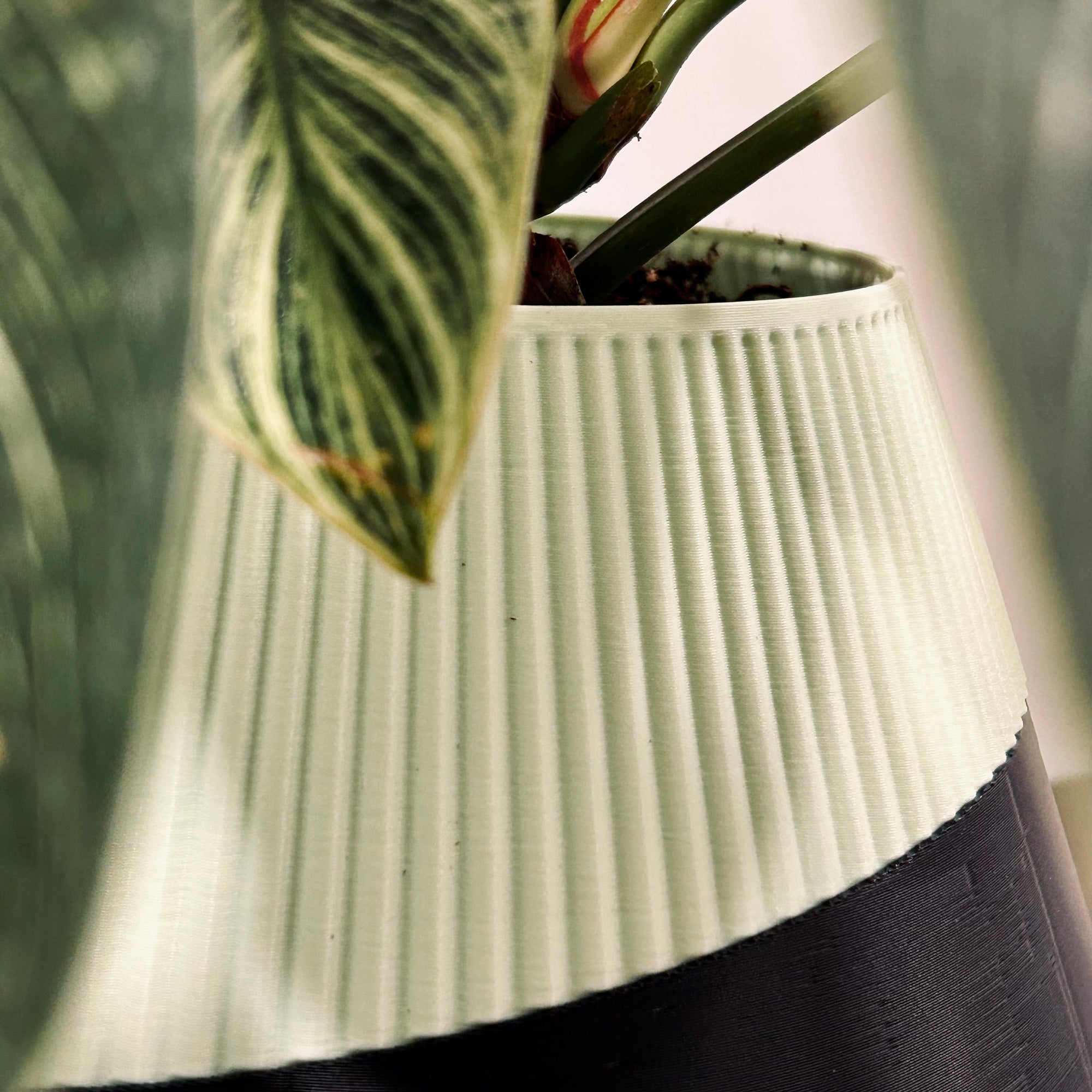 PISA Self Water Planter