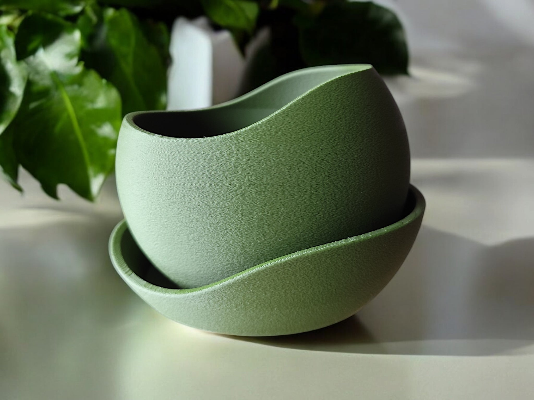 Shark Skin Plant Pot with Saucer – Bringing Texture to Your Green Space