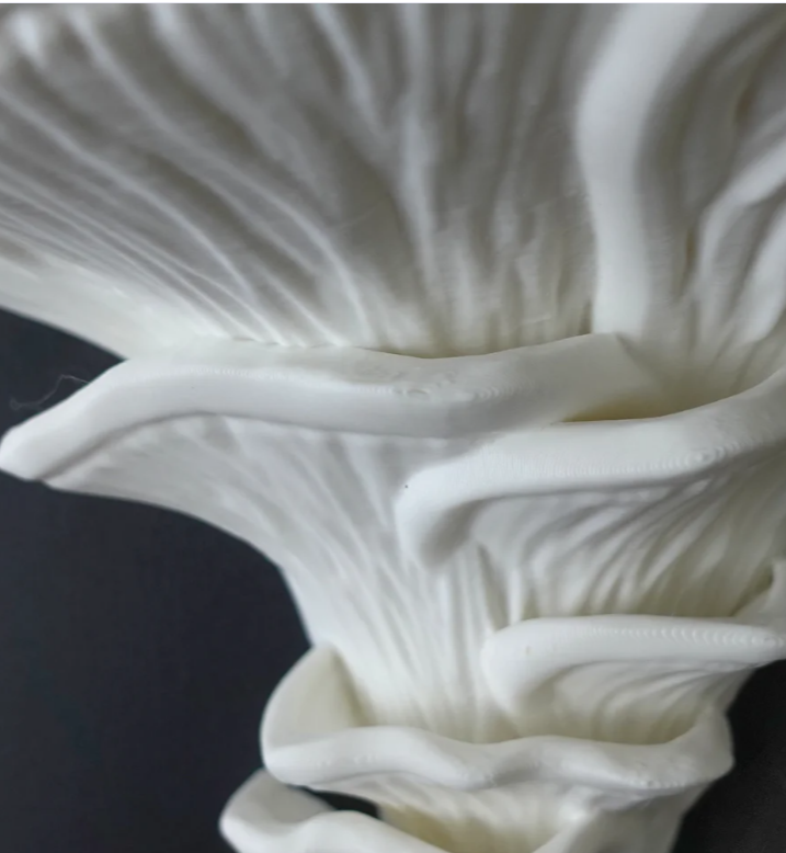 Mushroom Shelf – Whimsical Wall Decor for Plants Crystals & Collectibles