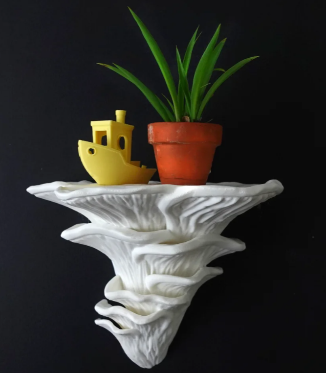 Mushroom Shelf – Whimsical Wall Decor for Plants Crystals & Collectibles