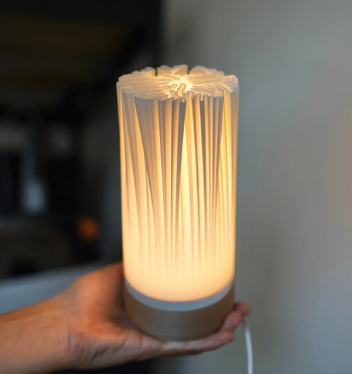 ORGANIS table lamp