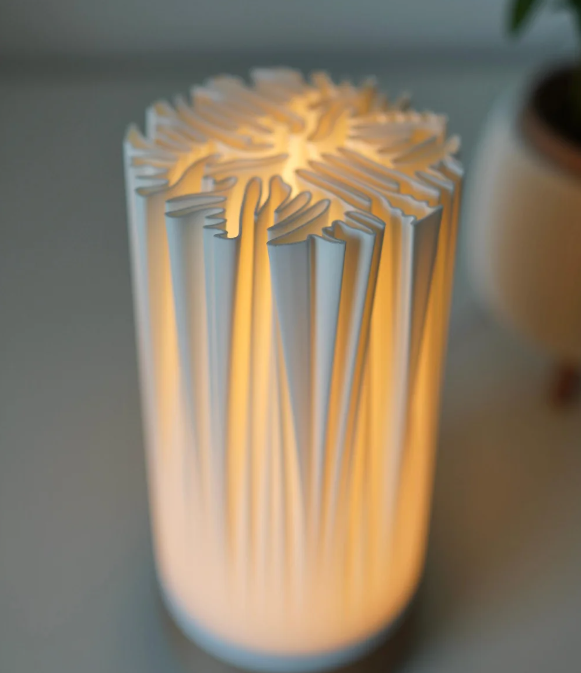 ORGANIS table lamp