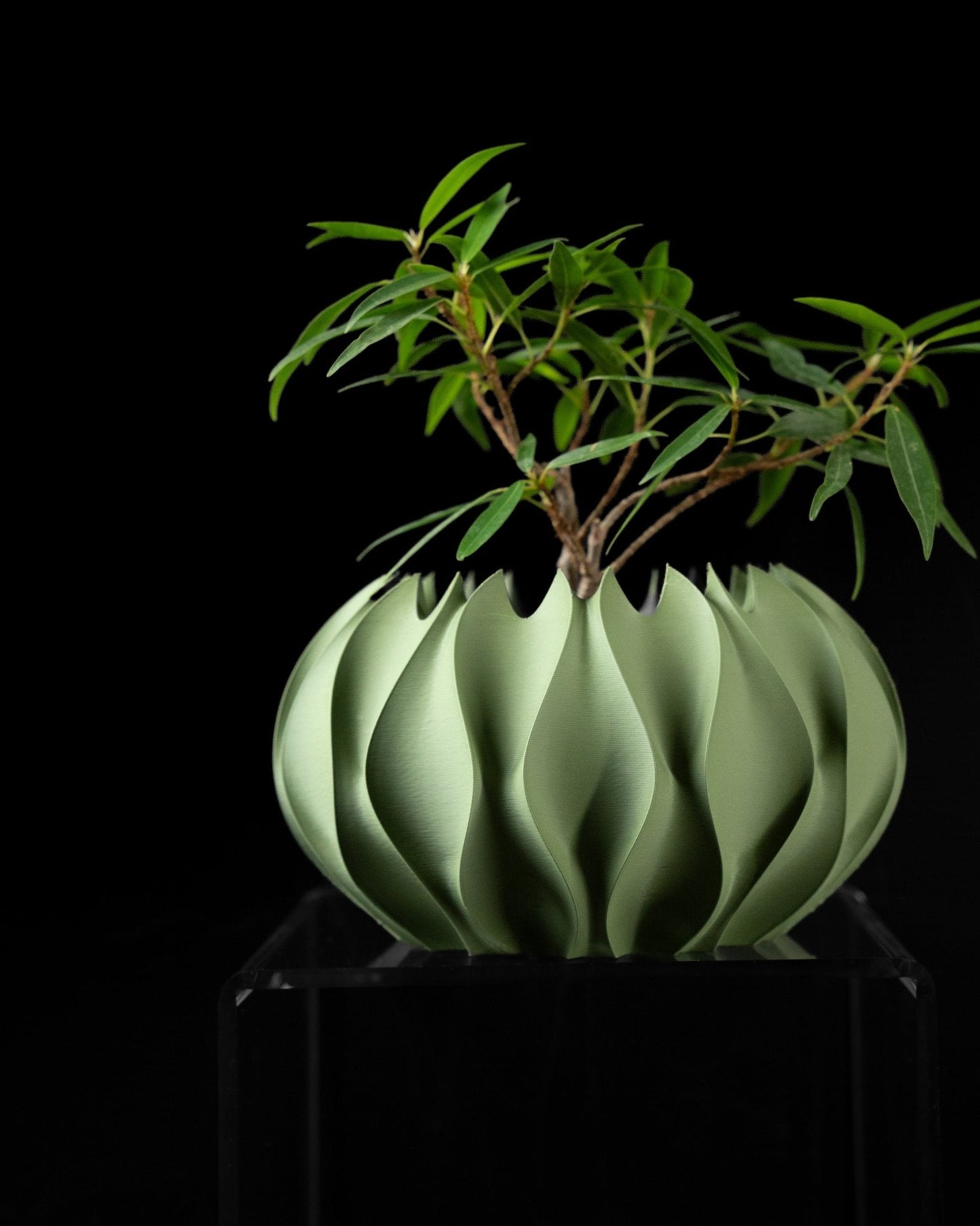 Abyssal Planter Pot