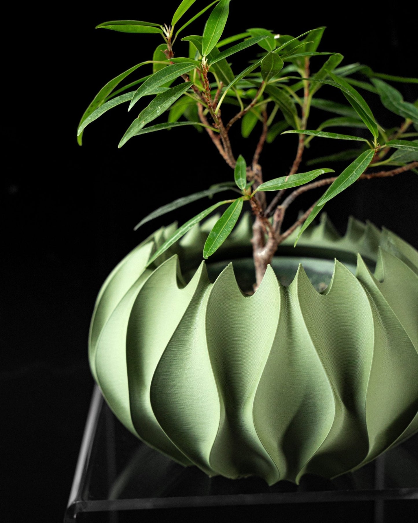 Abyssal Planter Pot