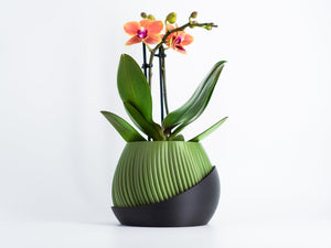Bloomberg Planter β Eco-Friendly Design πΏβ¨