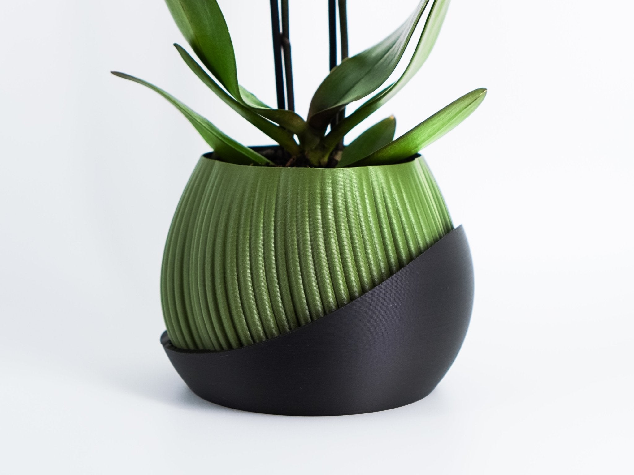 Bloomberg Planter β Eco-Friendly Design πΏβ¨