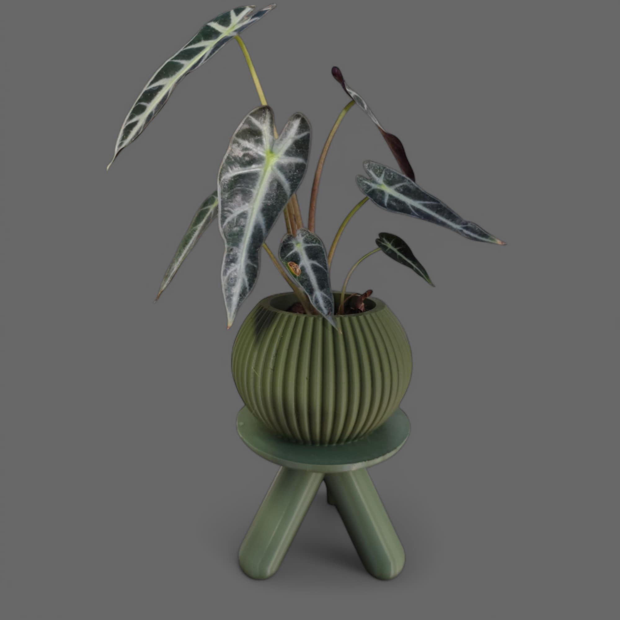 Sinister Select Circular Planter – Modern Minimalist Design