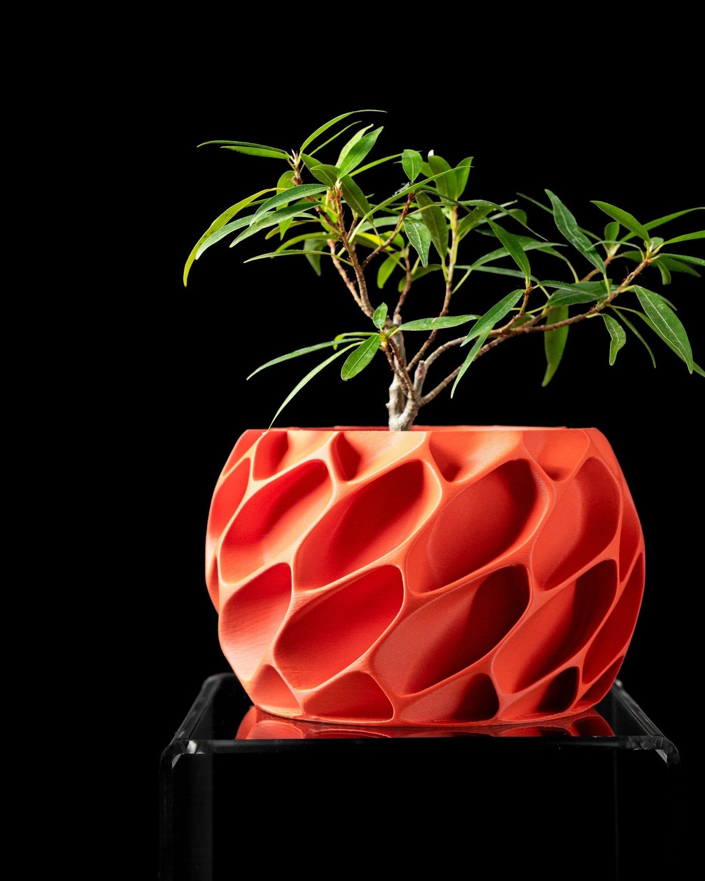 Exo Planter Pot
