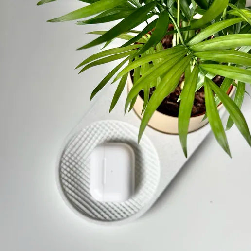 Modern Minimalist Tray with Planter