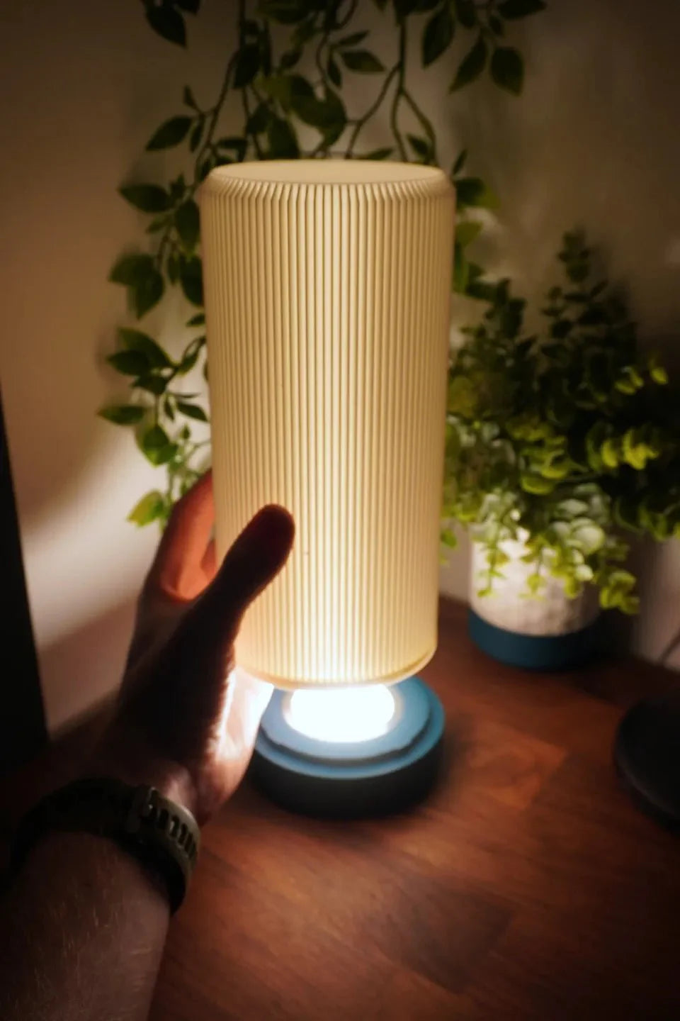 Lamp 2.0 - Ribbora By Foxwood