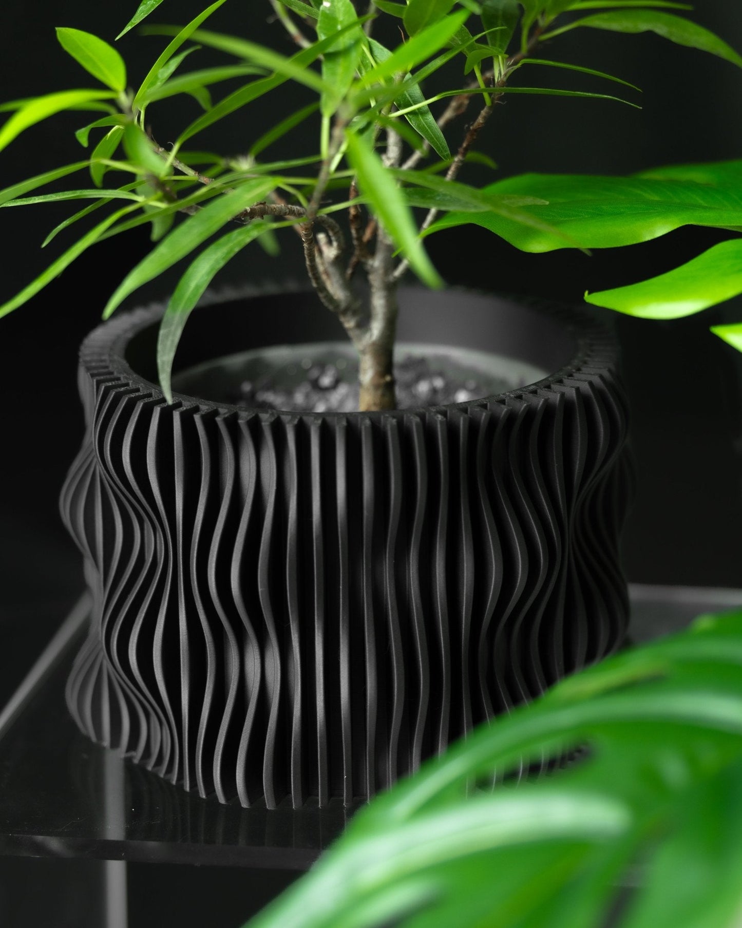Muxel Planter β Eco-Friendly Design πΏβ¨ Inc Tray