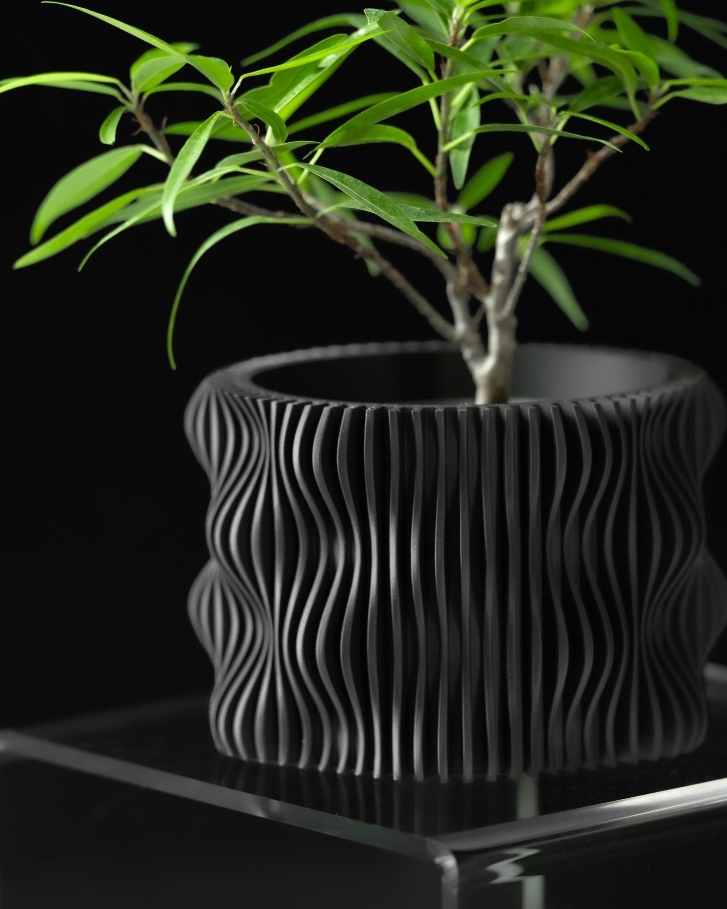 Muxel Planter β Eco-Friendly Design πΏβ¨ Inc Tray