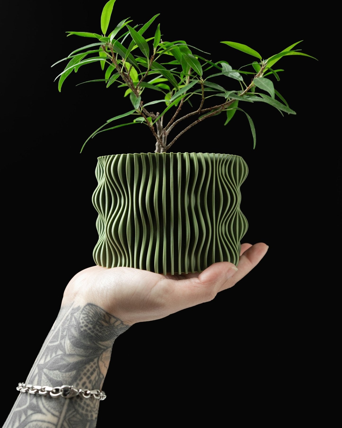 Muxel Planter β Eco-Friendly Design πΏβ¨ Inc Tray