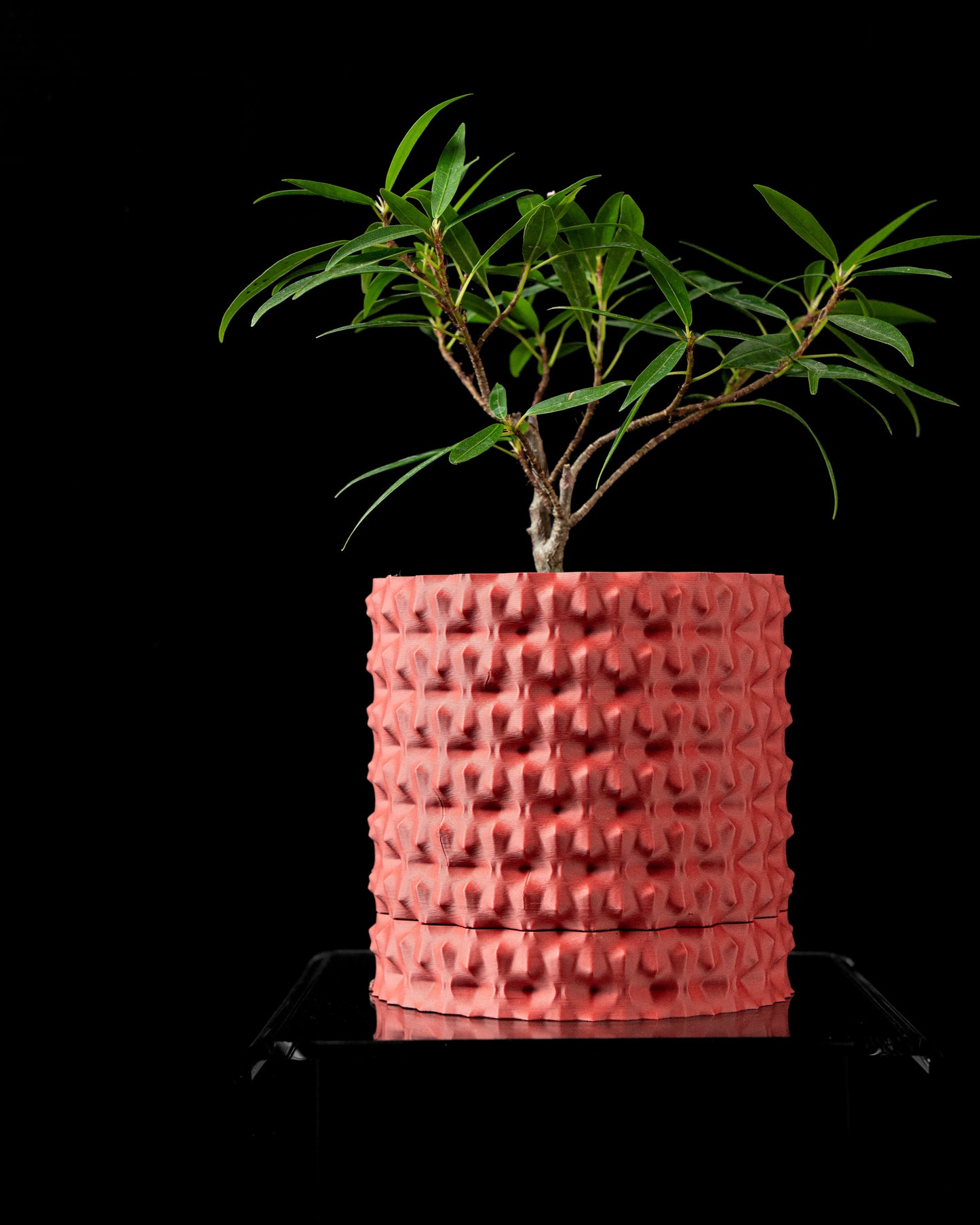 Rugged Planter Pot
