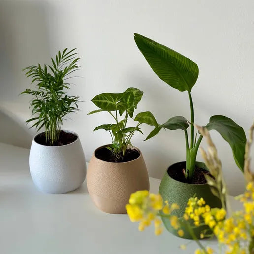 Sinister Select 3-Pack of 6-Inch Self-Watering Planters – Modern Home Set