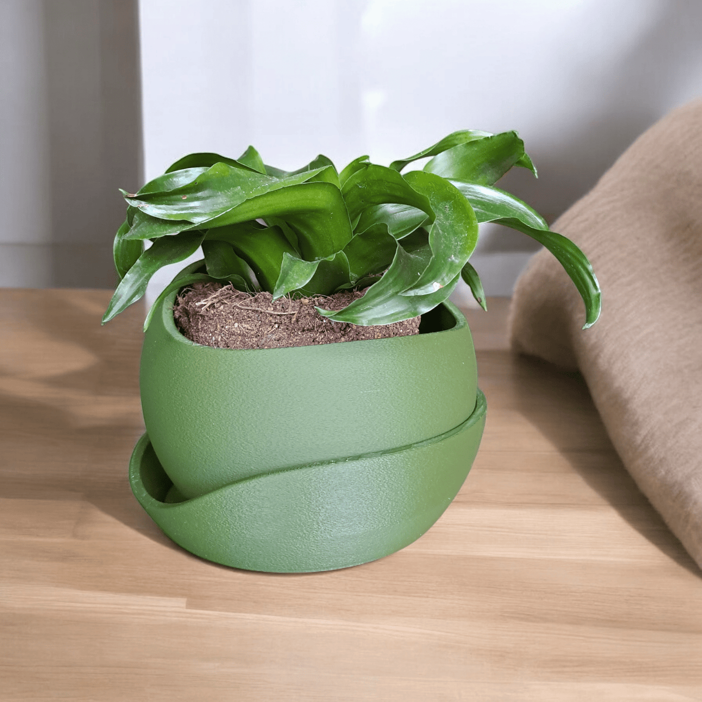 Shark Skin Plant Pot with Saucer – Bringing Texture to Your Green Space