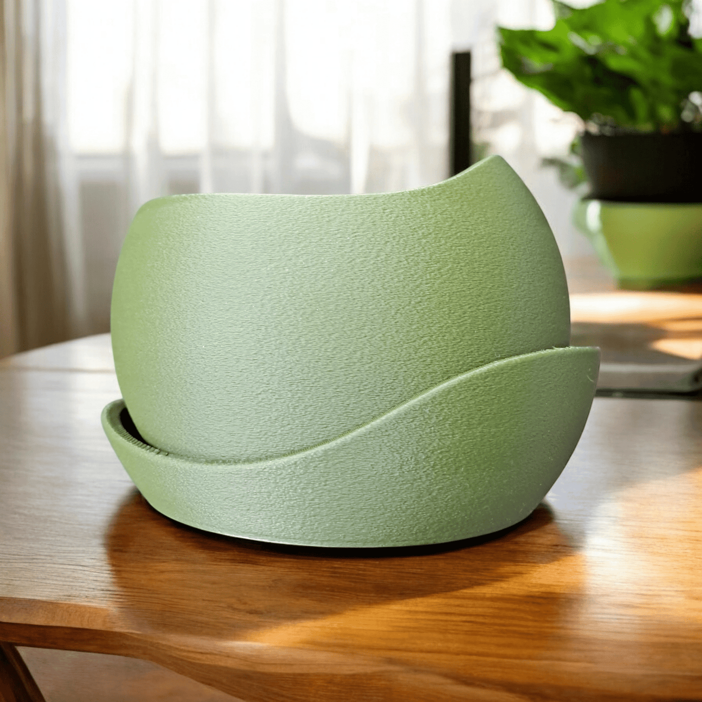 Shark Skin Plant Pot with Saucer – Bringing Texture to Your Green Space
