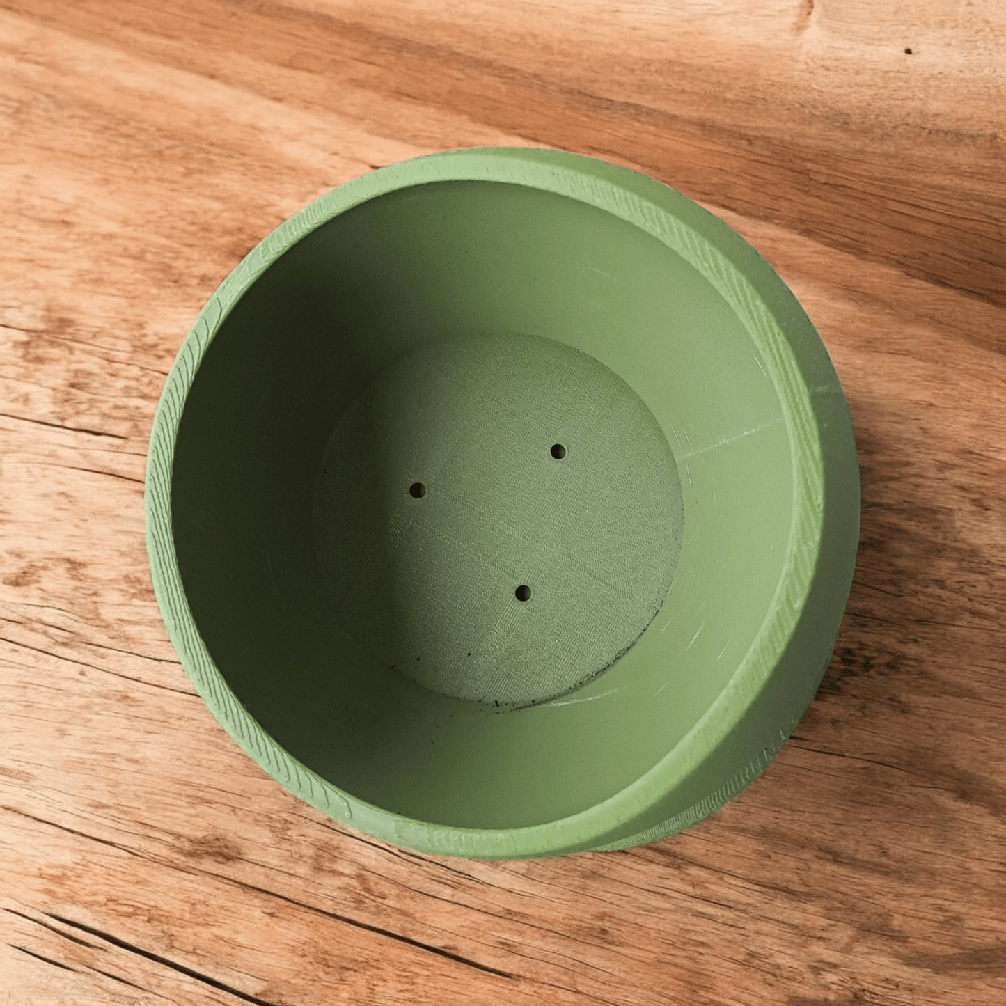 Shark Skin Plant Pot with Saucer – Bringing Texture to Your Green Space