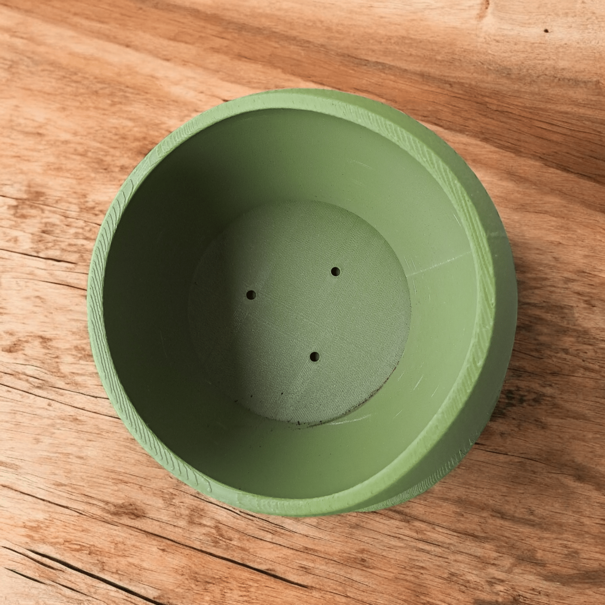 Shark Skin Plant Pot with Saucer – Bringing Texture to Your Green Space