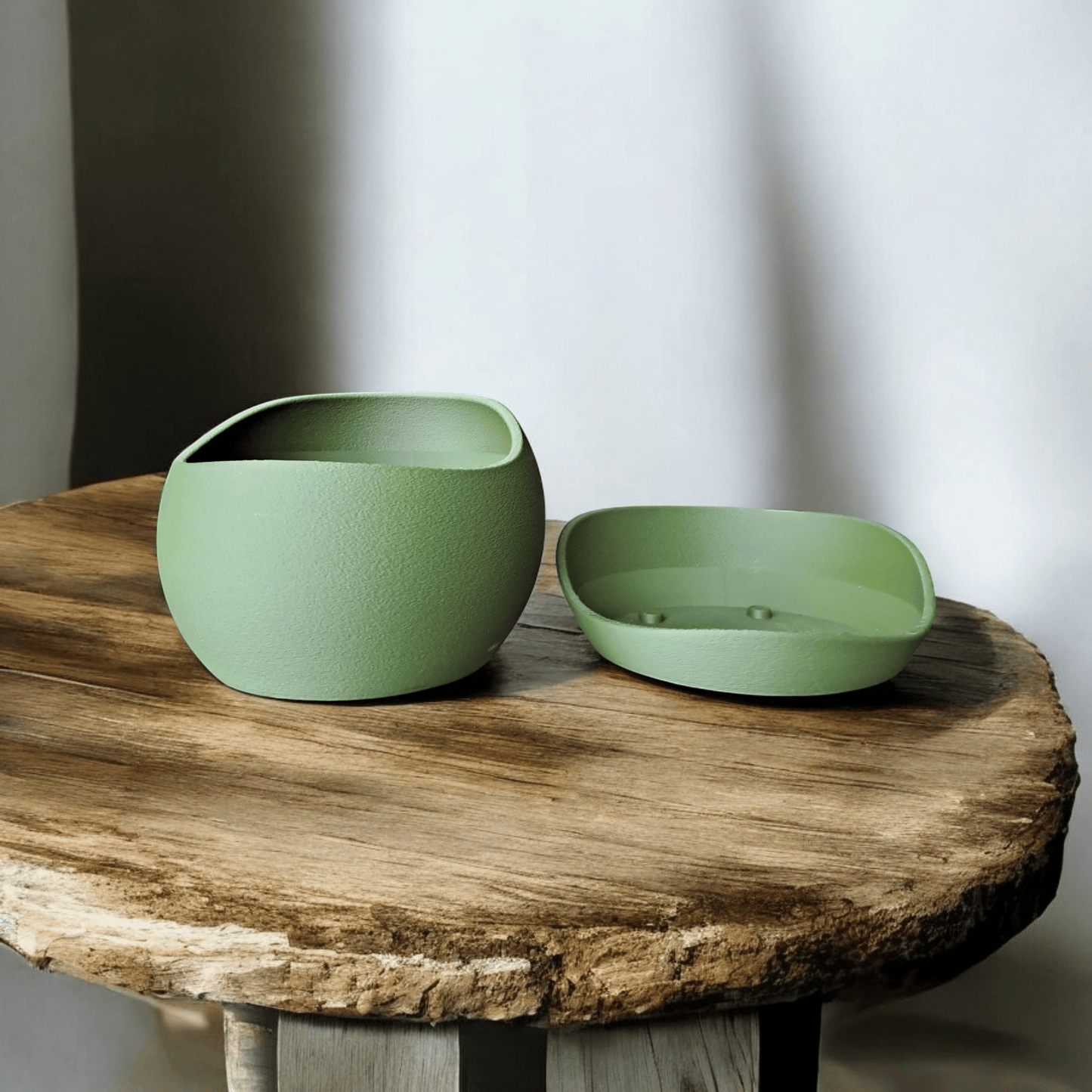 Shark Skin Plant Pot with Saucer – Bringing Texture to Your Green Space