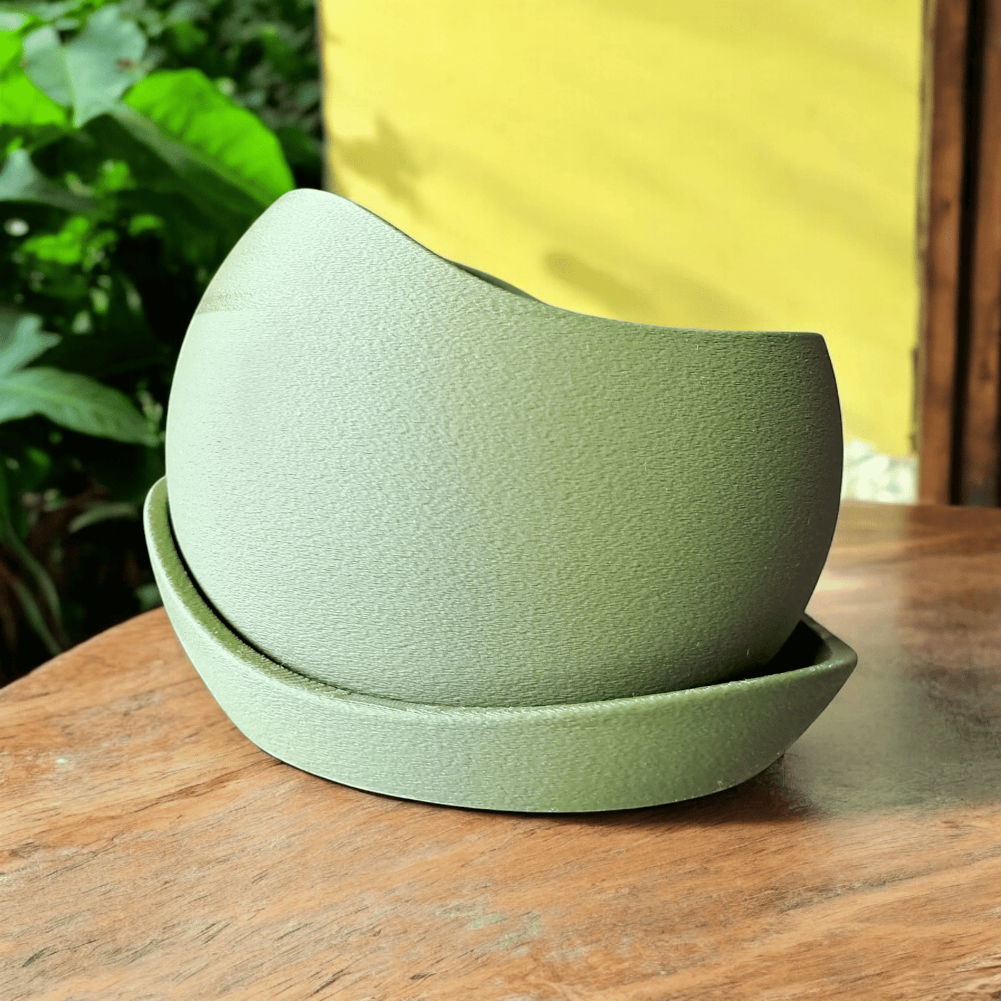 Shark Skin Plant Pot with Saucer – Bringing Texture to Your Green Space