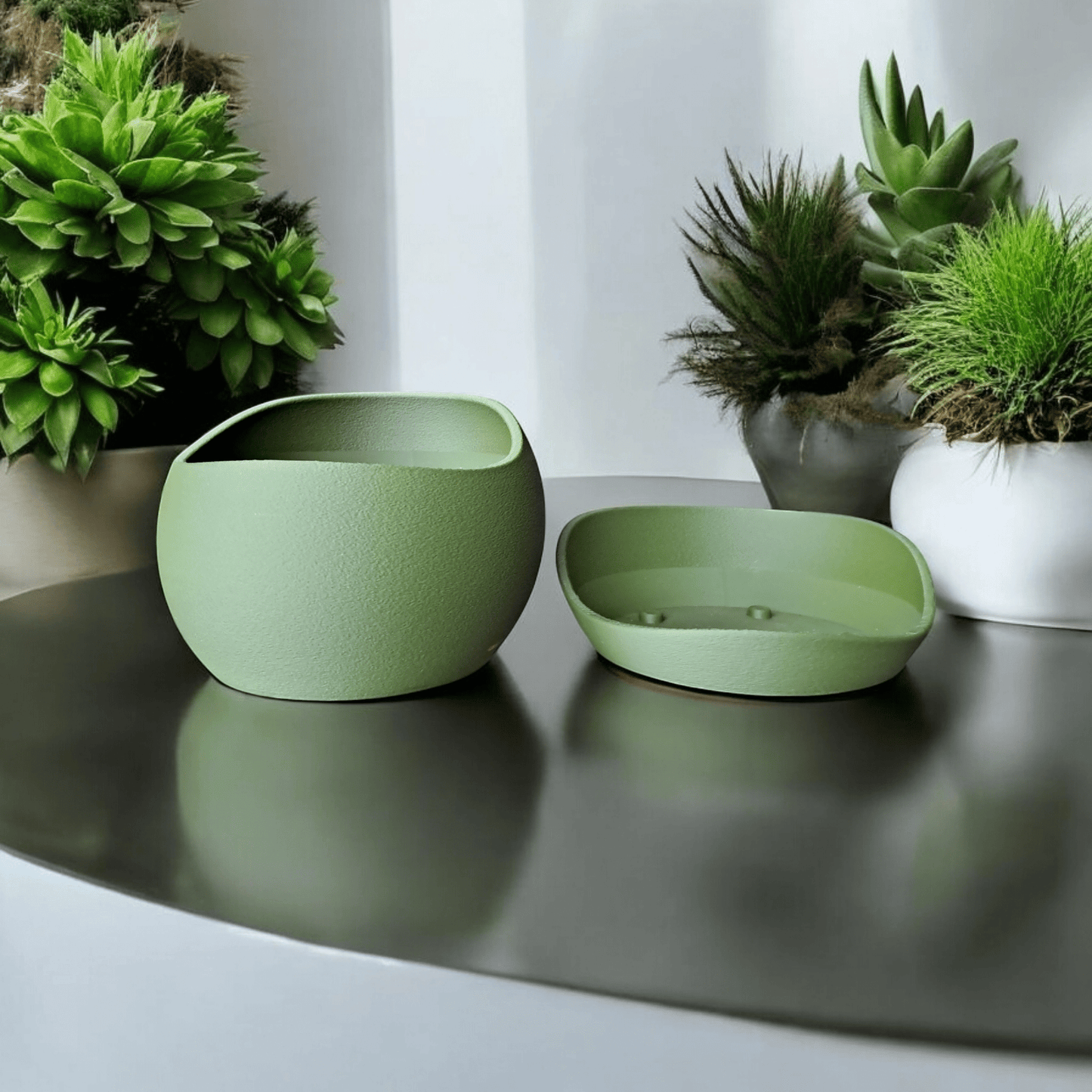 Shark Skin Plant Pot with Saucer – Bringing Texture to Your Green Space