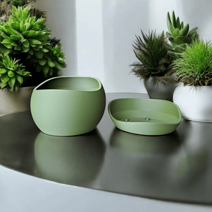 Shark Skin Plant Pot with Saucer – Bringing Texture to Your Green Space