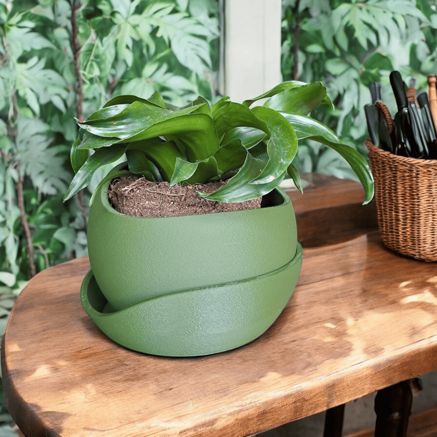 Shark Skin Plant Pot with Saucer – Bringing Texture to Your Green Space