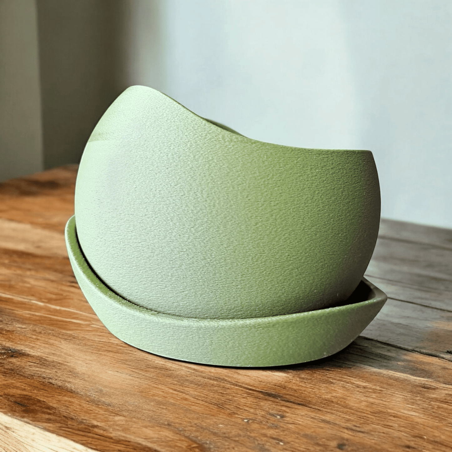 Shark Skin Plant Pot with Saucer – Bringing Texture to Your Green Space