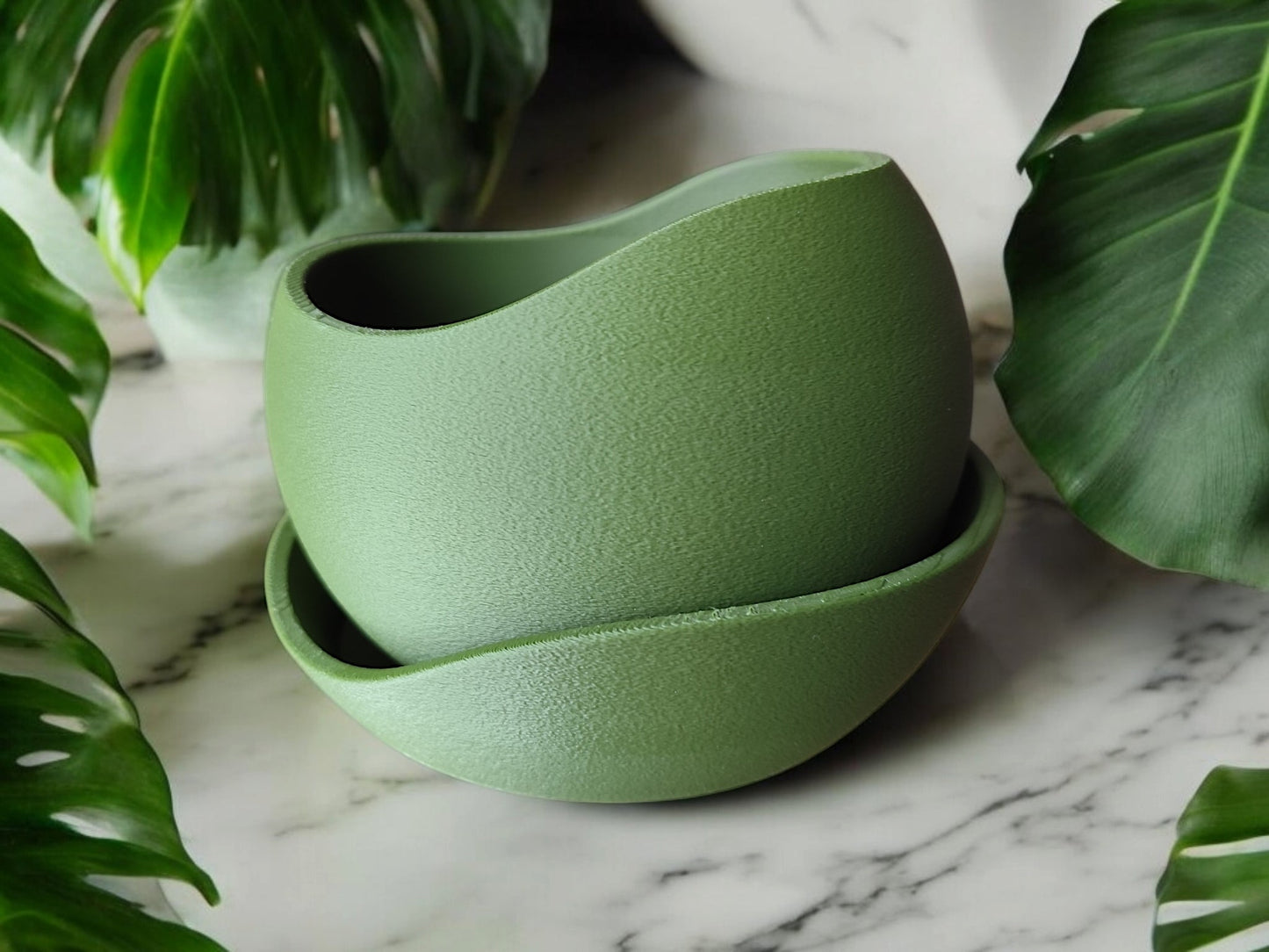 Shark Skin Plant Pot with Saucer – Bringing Texture to Your Green Space