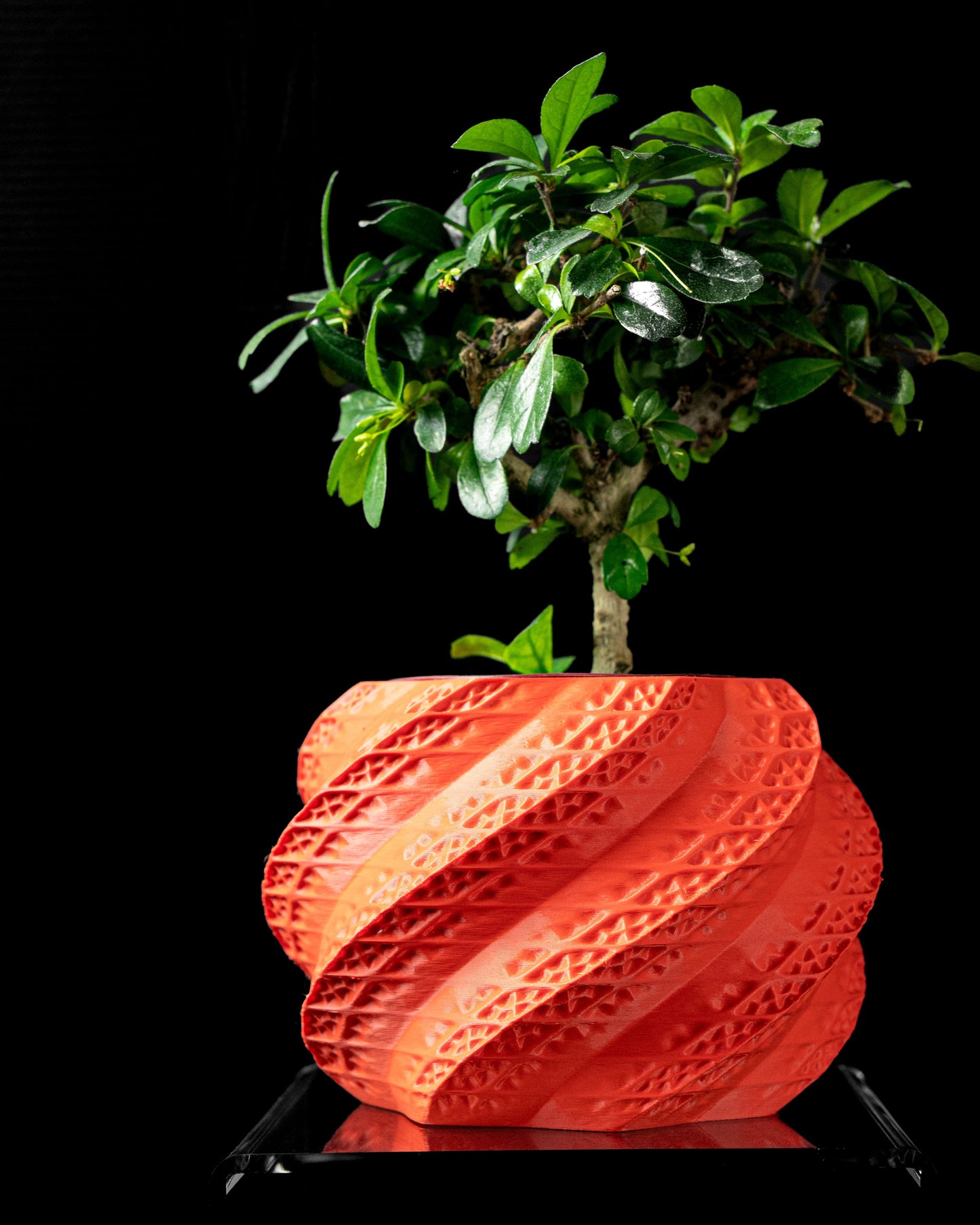 Shell Planter Pot – Eco-Friendly Stylish & Durable!