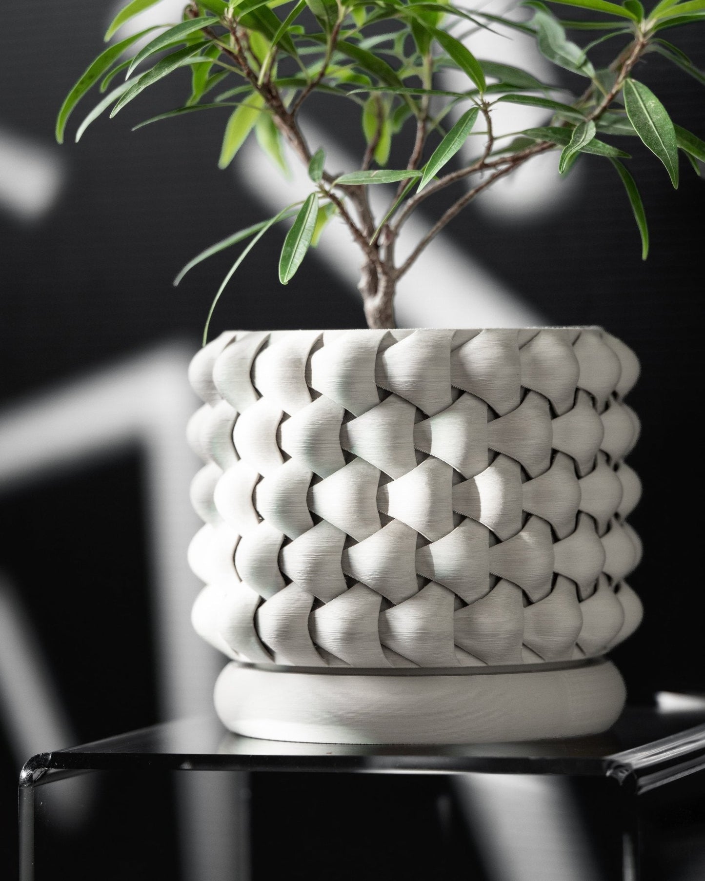 Tri-Weave Planter Pot inc tray – Unique Biodegradable and Perfect for Any Space