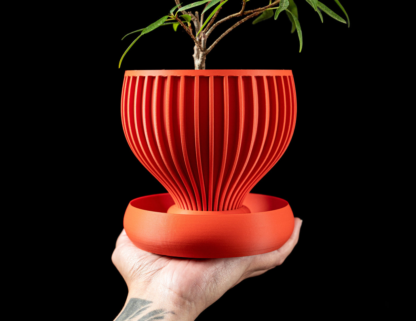 Yin Planter Pot
