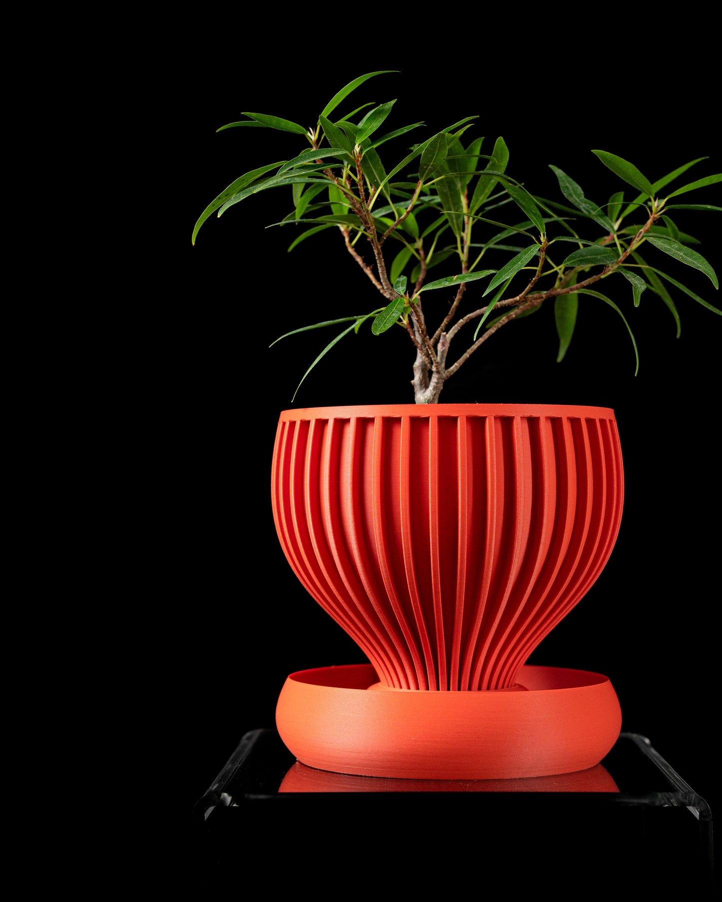 Yin Planter Pot
