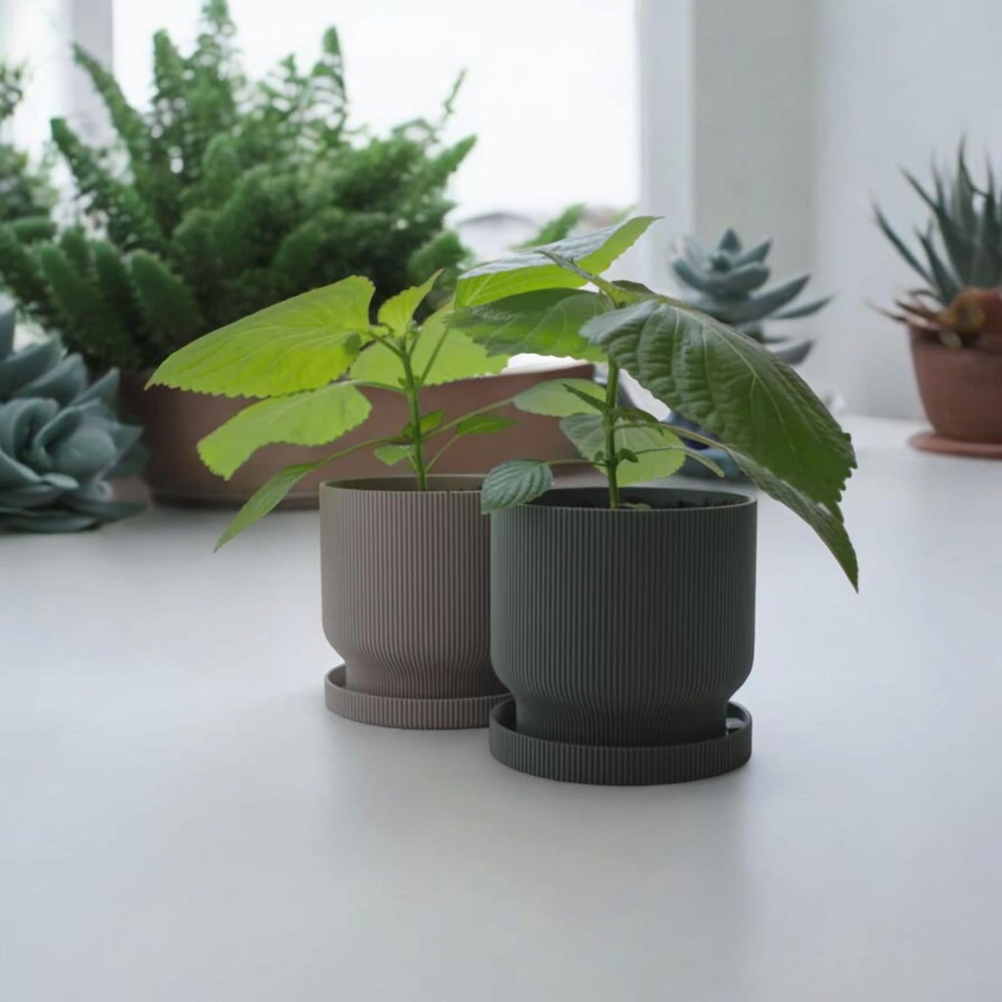 Sinister Select Modern Ribbed Planter Pot