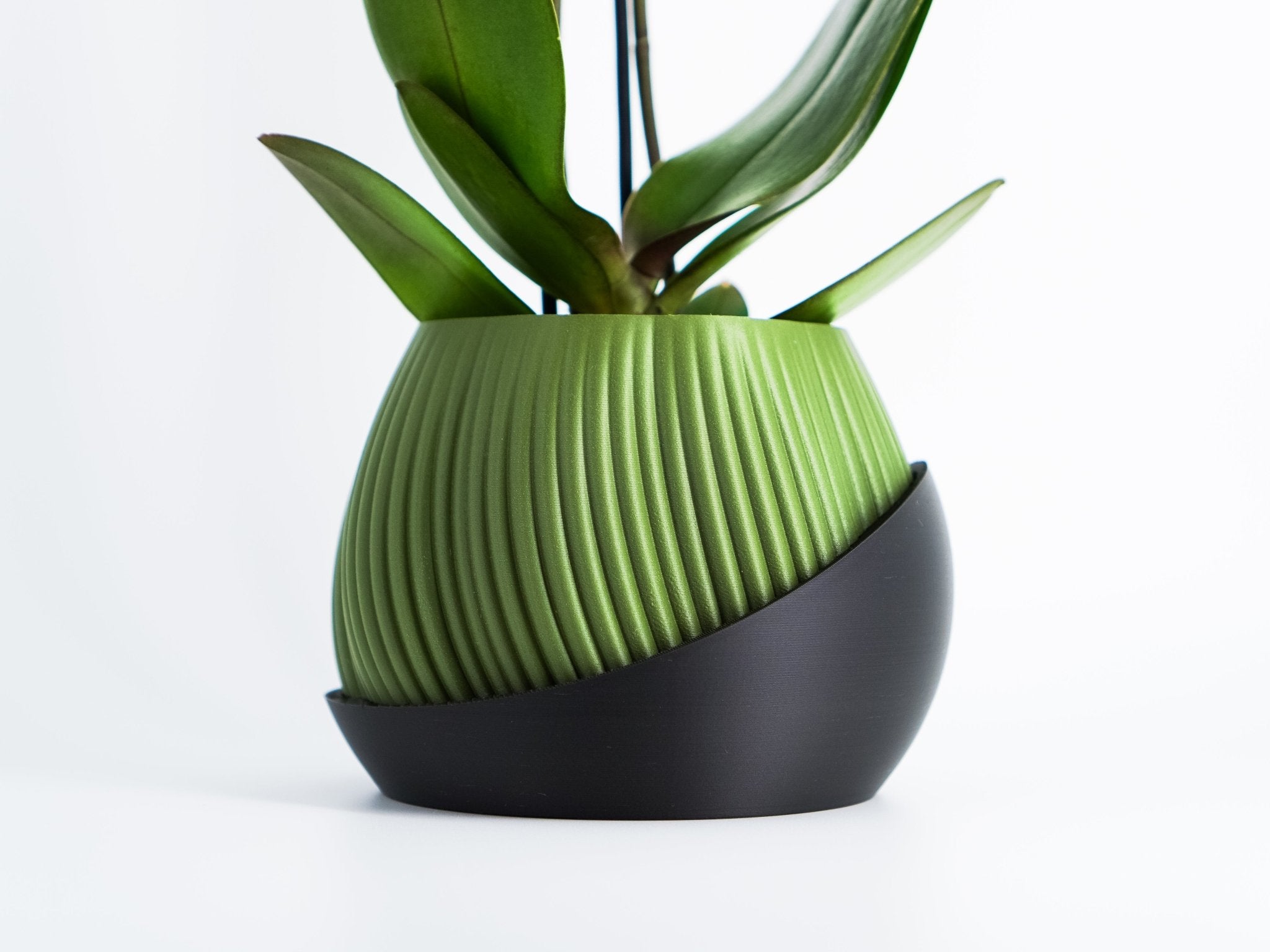 Bloomberg Planter – Eco - Friendly Design 🌿✨ - SinisterStyle