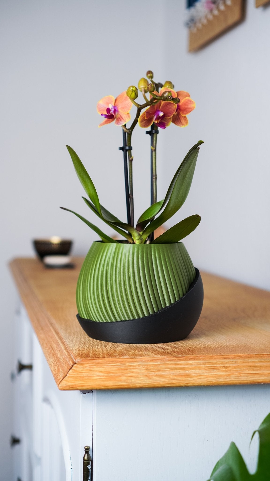 Bloomberg Planter – Eco - Friendly Design 🌿✨ - SinisterStyle