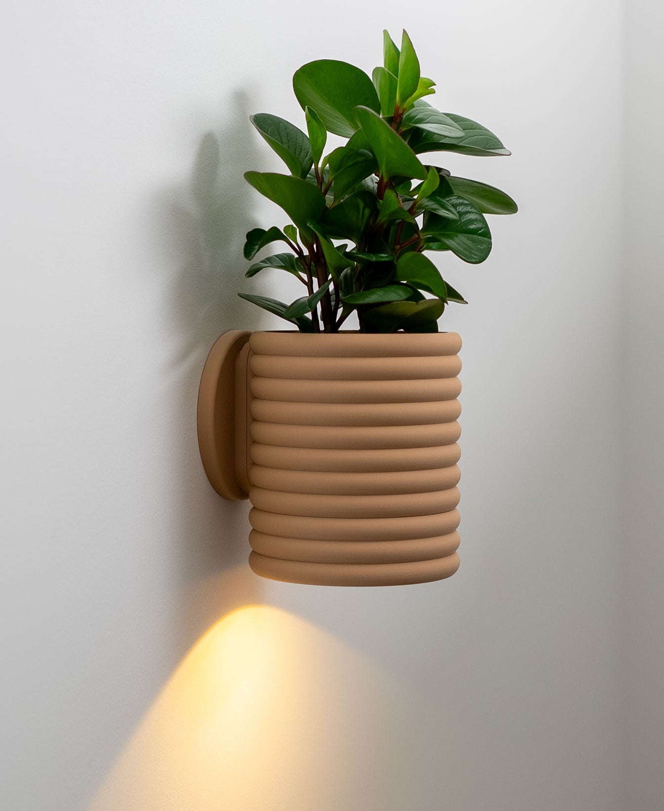 Wall Light Planter - Poppy